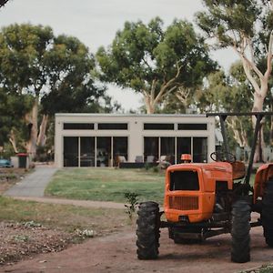 Banksia Park Cottages