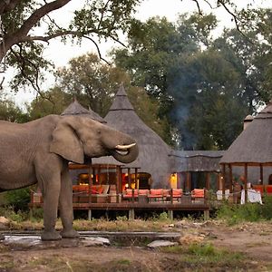 Hoyo Hoyo Safari Lodge